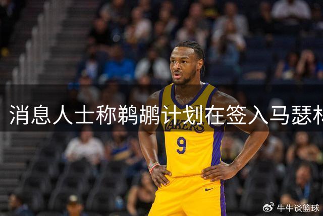 消息人士称鹈鹕计划在签入马瑟林后交易霍金斯